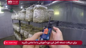 آموزش تولید قارچ - آب و رطوبت بیش از حد