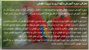 فیلم آموزش تربیت طوطی | اهلی کردن طوطی ( چه غذاهایی برا طوطی شما مفید است )