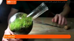 آموزش ساخت تراریوم|شرایط نگهداری تراریوم|تراریوم(تراریوم برای خانه ی آپارتمانی)