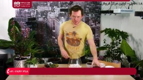 آموزش ساخت تراریوم|شرایط نگهداری تراریوم|تراریوم(گیاهان مناسب کاشت در تراریوم)