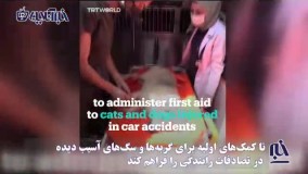 طراحی آمبولانسی برای حیوانات آسیب‌دیده در ترکیه !