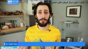 نحوه ساخت آکواریوم گیاهی|اکواریوم پلنت|ماهی زینتی(نحوه مراقبت از آب آکواریوم)