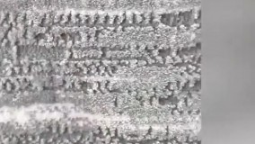 فرش وینتیج نوشیکا - دیجی دکوری