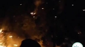 آتش جنگل‌های زاگرس در گچساران را بلعید