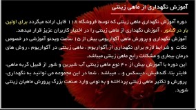 پرورش ماهی زینتی|ماهی آکواریوم|ماهی زینتی(درمان کردن بیماری لکه سفید)