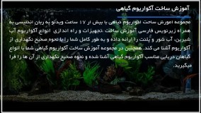 نحوه ساخت آکواریوم گیاهی|اکواریوم پلنت|ماهی زینتی(درجه حرارت مناسب آکواریوم)