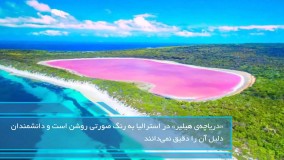 قوانین و دانستنی های استرالیا | سفیران ایرانیان