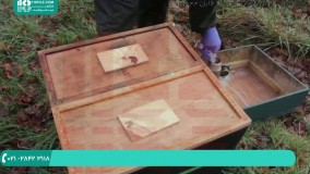 آموزش حرفه ای زنبورداری | پرورش زنبور عسل | زنبورداری صنعتی | گذراندن زمستان