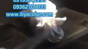 دستگاه فانتاکروم آبکاری و فانتاکروم برقی و بادی02156574663