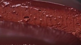 ترفندهای آشپزی : آشپزی و  غذاهای جدید و خوشمزه