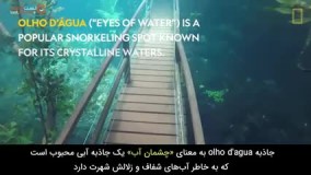 قدم زدن در یک پارک زیر آبی !