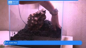 نحوه نگهداری از آکواریوم / سازگاری انواع ماهی های زینتی با آکواریوم در چه حد است ؟