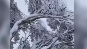 برف و یخبندان در ملبورن استرالیا