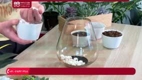 آموزش ساخت تراریوم :: باغ شیشه ای :: تراریوم شیشه ای :: تراریوم ساکولنت زیبا و شکیل