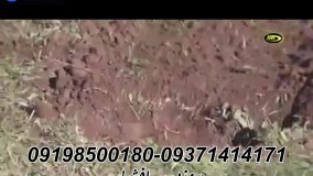 آموزش کار با فلزیاب 09198500180