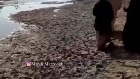 فریاد مردم کرخه : چرا این کار را می‌کنید ؟