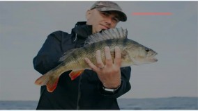 پرورش ماهی خاویار * شرایط استفاده از بچه ماهی برای پرورش