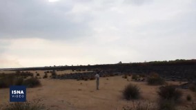 پناهگاه حیات وحش میانکاله سیاه‌پوش شد