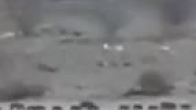 هجوم گرازهای تشنه به یک منطقه شهری در جنوب ایران