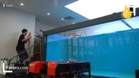 این یک ماهی نیست