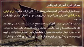 آموزش اوریگامی :: ساخت کاردستی :: اوریگامی متحرک :: ساخت سگ هاسکی کاغذی