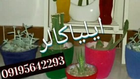 دستگاه  مخمل پاش حرفه ای02156574663
