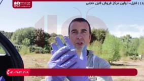 آموزش حرفه ای زنبورداری | پرورش زنبور عسل | روش برخورد با زنبورهای بد رفتار