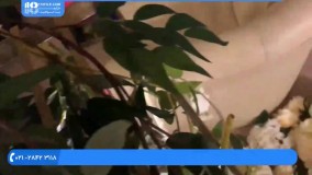 آموزش تشریفات عروسی | ایده های جالب عروسی | پذیرایی و تشریفات (استند چوبی چهار طبقه)