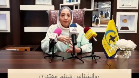 شبنم مقتدری روانشناس از تکنیک حل مسئله در جمع خبرنگاران می گوید: