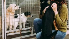 خانه ای شبیه باغ وحش 2