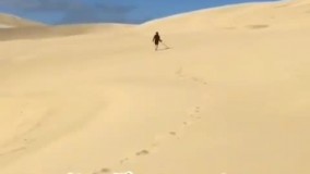 قیمت فلزیاب ارزان-تماس 09102191330