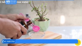 آموزش ساخت اسکراب خانگی|ساخت اسکراب(اسکراب شکلات (پودر کاکائو و شکر قهوه ای)