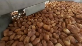 شستشو خرما زاهدی