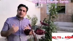 IELTS by AMIR Dr. Amir Rooholamin دکتر امیر روح الامین