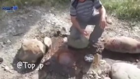 عجیب‌ ترین چشمه دنیا ؛ تلفیق آب و آتش