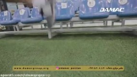 داماک برند ترین و لاکچری ترین شرکت سازنده ی املاک جهان - damac