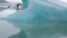 هلی شات ریس DJI FPV، کوادکوپتر ریس متفاوت | ایستگاه پرواز