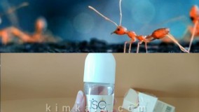 رفع دائمی موهای زائد/09120132883/روغن مورچه