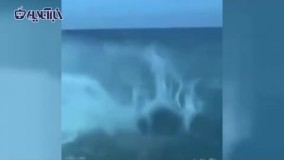 دلفین‌ سواری جالب و تماشایی یک سگ