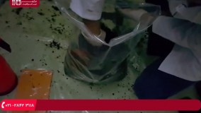 تولید قارچ-پرورش قارچ-پرورش قارچ در فضای بازواحد تولید قارچ