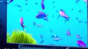 تلویزیون شیائومی ۷۵Q1