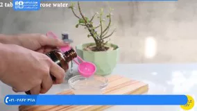 آموزش ساخت اسکراب خانگی|ساخت اسکراب(اسکراب شکلات (پودر کاکائو و شکر قهوه ای))