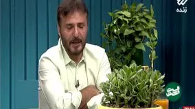 اشک‌ های سید جواد هاشمی برای بیماران کرونایی