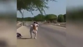 استقبال از پدر بعد از ۱۳۴ روز ماموریت دریانوردی