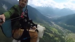 ویدئوی جالب پرواز سگ با پاراگلایدر