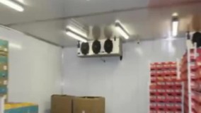 فروش انواع سردخانه میوه آرامیس مارکت