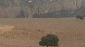 کوه نیر در بویراحمد آتش می‌سوزد