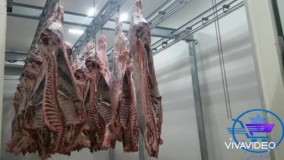 فروش انواع سردخانه گوشت آرامیس مارکت