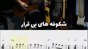 اجرای آهنگ شکوفه ها ( شکوفه میرقصد) از ویگن