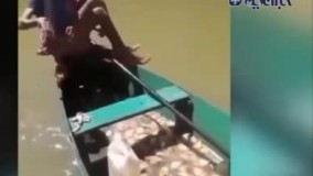 شیوه مبتکرانه و خنده‌دار صید ماهی‌ های گوشت‌خوار